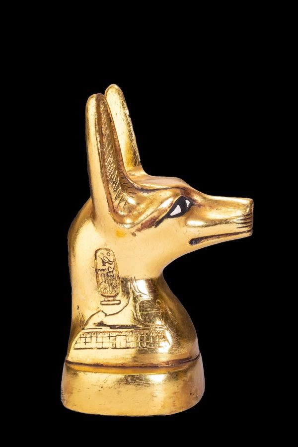 Anubis Jackal Head the god of afterlife and mummification with amazing gold leaf hand painted- Replica Altar statue - Image 4