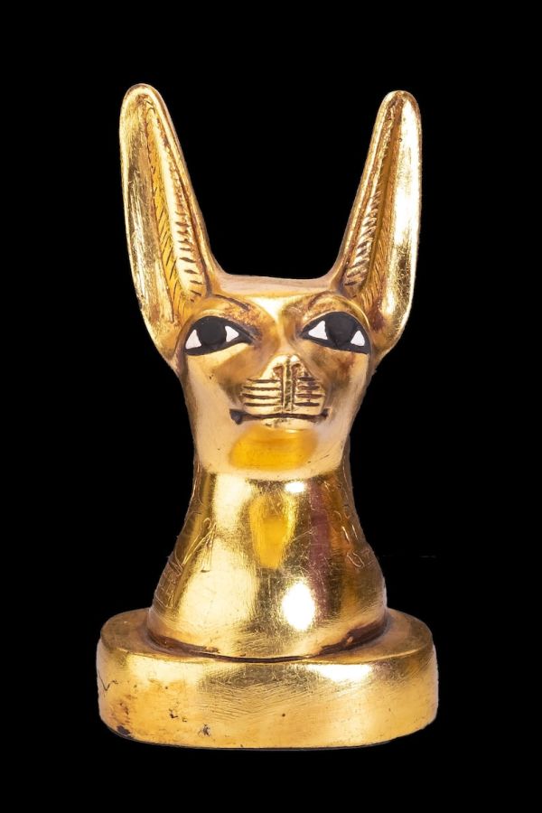 Anubis Jackal Head the god of afterlife and mummification with amazing gold leaf hand painted- Replica Altar statue - Image 6