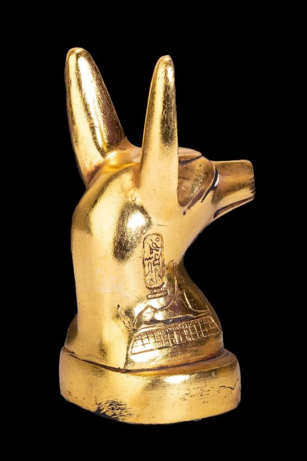 Anubis Jackal Head the god of afterlife and mummification with amazing gold leaf hand painted- Replica Altar statue - Image 3