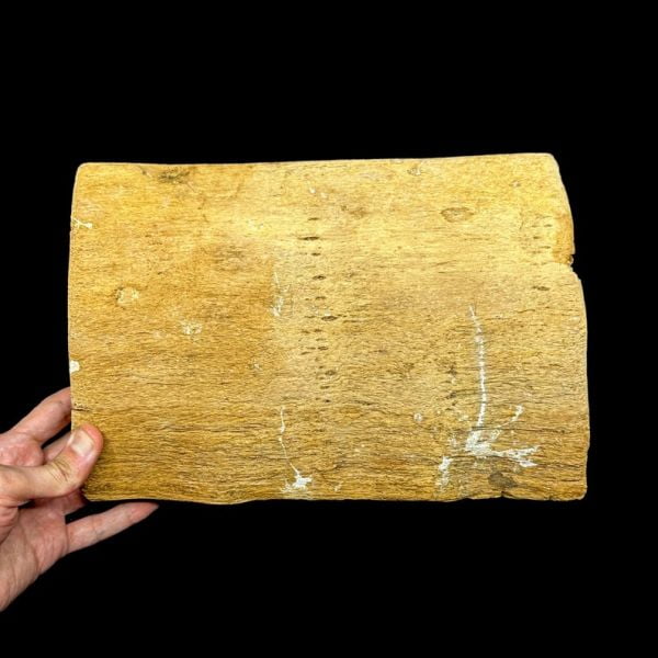 50 Years Old Wooden Egyptian Tablet Found In Old Antique Store In Luxor - Handmade Egyptian Wooden Plaque of The Sun God Ra - Egyptian Art - Image 2